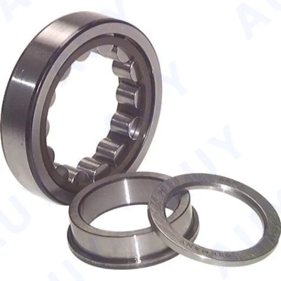 OEM-Top-Level-N-316-Ecp-Nj-1016-Ecml-Nj-216-Ecj-Nj-216-Ecm-Single-Row-Cylindrical-Roller-Bearings