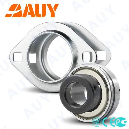 Qi-66-Top-Level-Customized-F2bess-104s-Cpss-Dfh-104s-Cpss-Dfh-UCFL-217-UCFL-207-Housing-Bearing