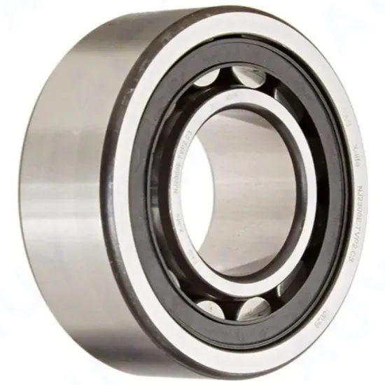 Rust-Prevention-Manufacturing-Machinery-Nup-219-Ecp-Nup-2219-Ecp-Nup-2319-Ecj-Nup-2319-Ecml-Single-Row-Cylindrical-Roller-Bearings