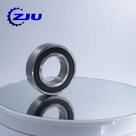 Thin Wall 21.5mm Inner Bearing: 6004 2RS Deep Groove