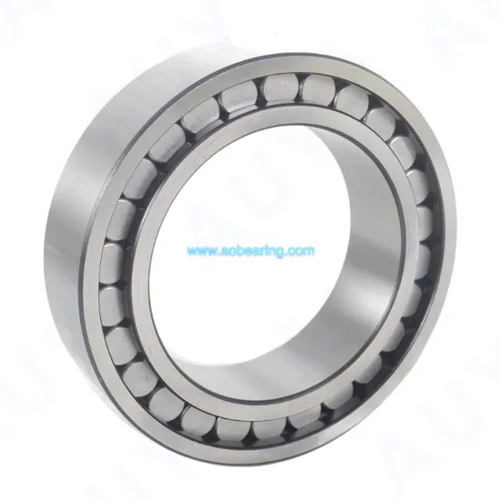 Top-Level-Great-Quality-Nu-1060-Ma-Nu-2060-Ecma-Nu-2260-Ma-Nu-2360-Ecma-Single-Row-Cylindrical-Rolling-Bearings