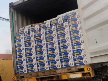 Top-Quality Zv1 Zv2 Zv3 Deep Groove Bearings for Motorcycles