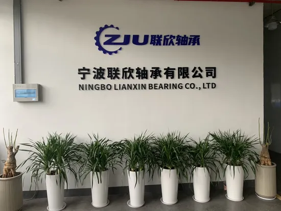 Zju-China-Bearing-693-W693-694-695-696-697-698-699-6000-3-8-4mm